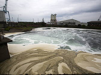Ringsend Wastewater Treatment...